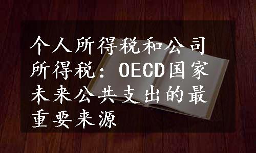 个人所得税和公司所得税：OECD国家未来公共支出的最重要来源