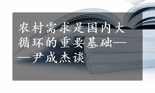 农村需求是国内大循环的重要基础——尹成杰谈