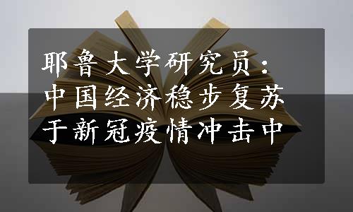 耶鲁大学研究员：中国经济稳步复苏于新冠疫情冲击中