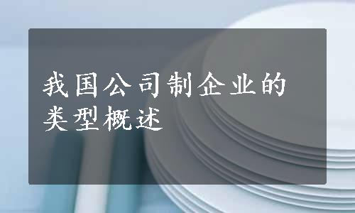 我国公司制企业的类型概述