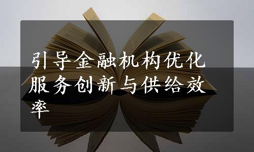 引导金融机构优化服务创新与供给效率