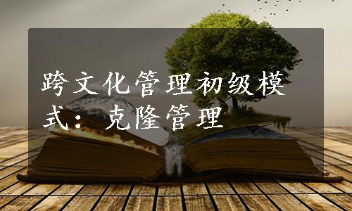 跨文化管理初级模式：克隆管理