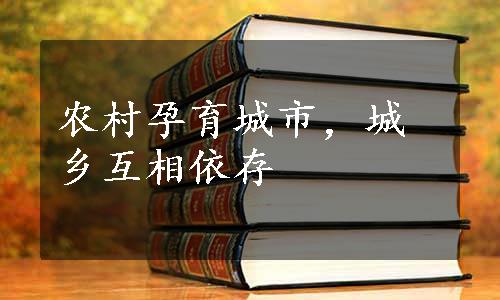 农村孕育城市，城乡互相依存