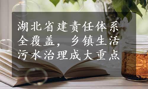 湖北省建责任体系全覆盖，乡镇生活污水治理成大重点