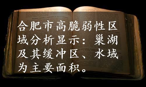 合肥市高脆弱性区域分析显示：巢湖及其缓冲区、水域为主要面积。