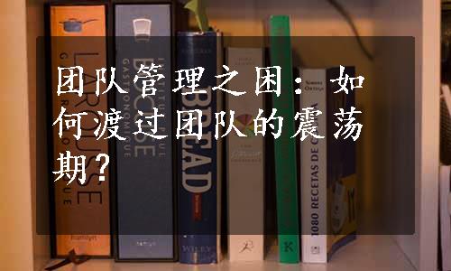 团队管理之困：如何渡过团队的震荡期？