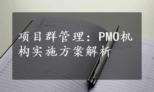 项目群管理：PMO机构实施方案解析