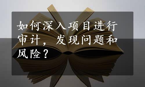 如何深入项目进行审计，发现问题和风险？