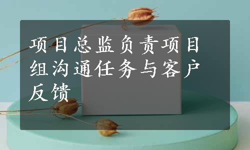 项目总监负责项目组沟通任务与客户反馈