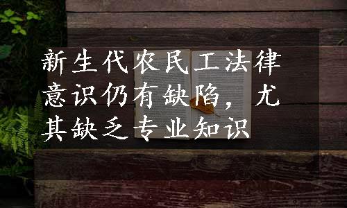 新生代农民工法律意识仍有缺陷，尤其缺乏专业知识