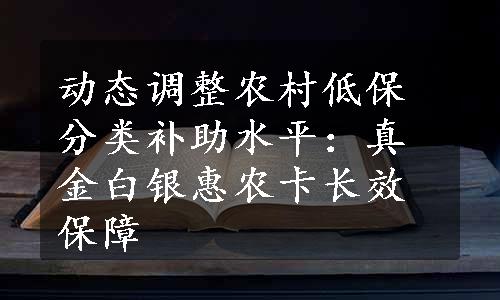 动态调整农村低保分类补助水平：真金白银惠农卡长效保障