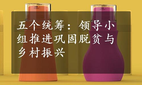 五个统筹：领导小组推进巩固脱贫与乡村振兴