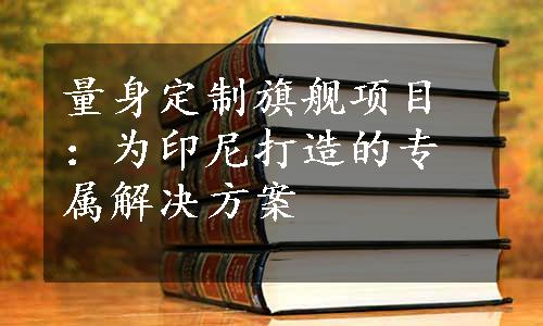 量身定制旗舰项目：为印尼打造的专属解决方案