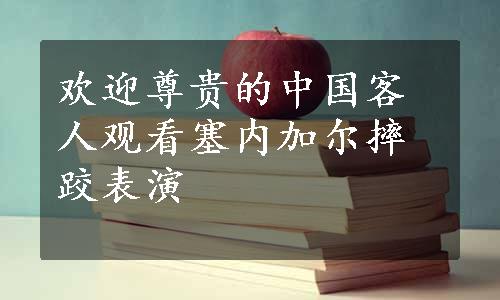 欢迎尊贵的中国客人观看塞内加尔摔跤表演