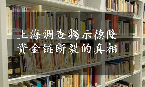 上海调查揭示德隆资金链断裂的真相