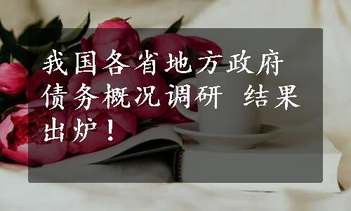 我国各省地方政府债务概况调研 结果出炉！