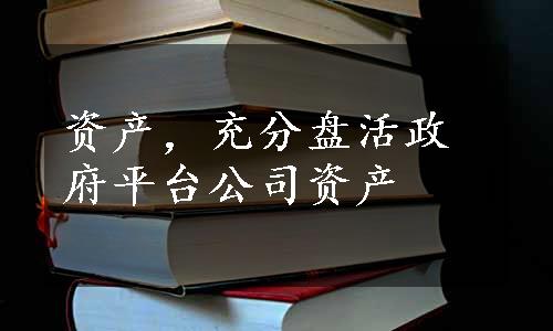 资产，充分盘活政府平台公司资产