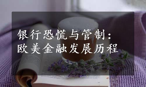 银行恐慌与管制：欧美金融发展历程