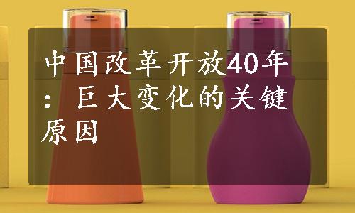 中国改革开放40年：巨大变化的关键原因