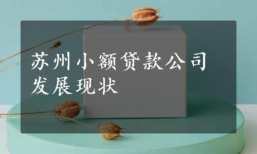 苏州小额贷款公司发展现状