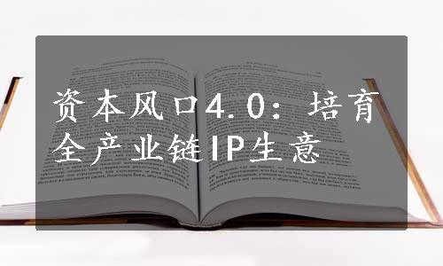 资本风口4.0：培育全产业链IP生意