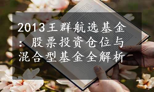 2013王群航选基金：股票投资仓位与混合型基金全解析