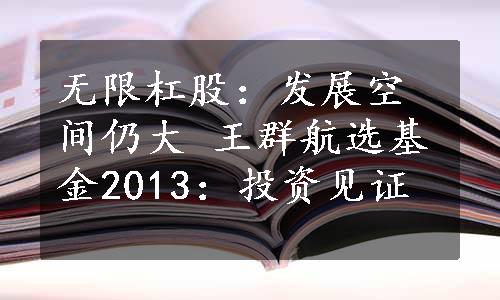 无限杠股：发展空间仍大 
王群航选基金2013：投资见证