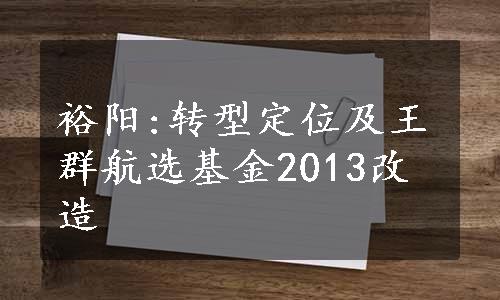 裕阳:转型定位及王群航选基金2013改造