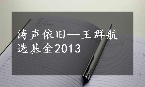 涛声依旧—王群航选基金2013