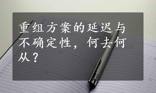 重组方案的延迟与不确定性，何去何从？