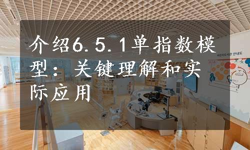 介绍6.5.1单指数模型：关键理解和实际应用