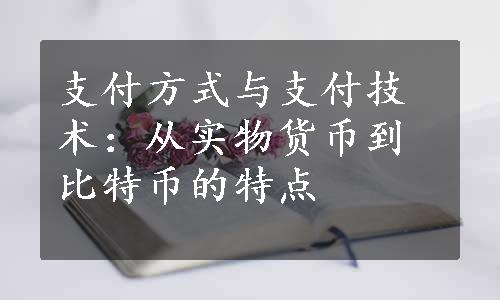 支付方式与支付技术：从实物货币到比特币的特点