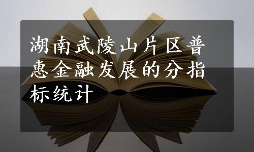 湖南武陵山片区普惠金融发展的分指标统计