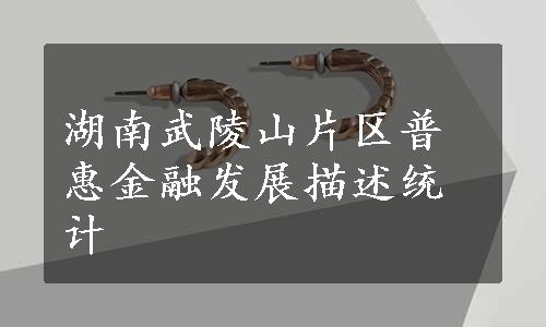 湖南武陵山片区普惠金融发展描述统计