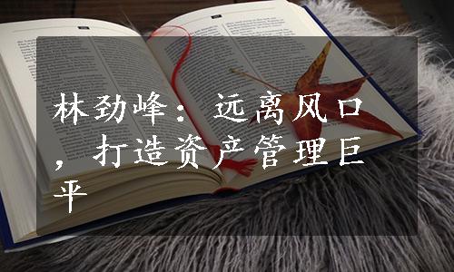 林劲峰：远离风口，打造资产管理巨平