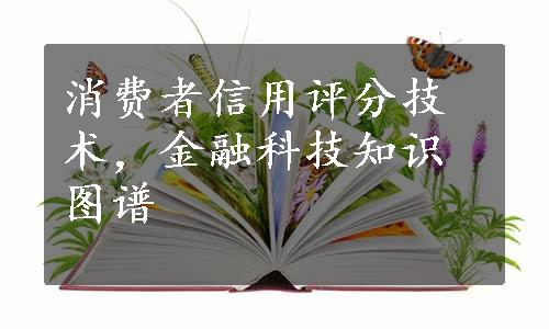 消费者信用评分技术，金融科技知识图谱