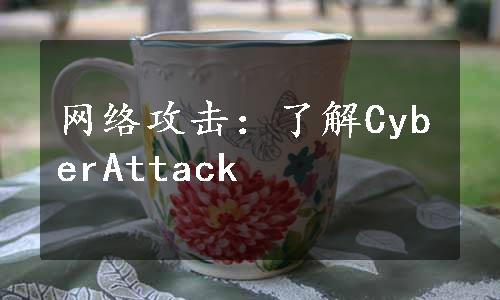 网络攻击：了解CyberAttack