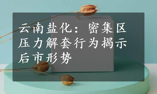 云南盐化：密集区压力解套行为揭示后市形势