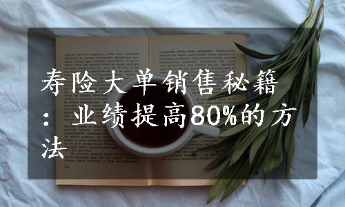 寿险大单销售秘籍：业绩提高80%的方法