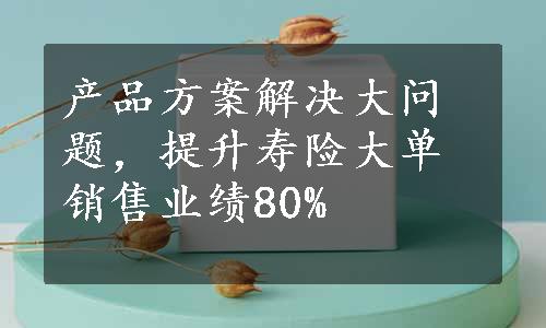 产品方案解决大问题，提升寿险大单销售业绩80%