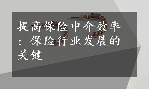 提高保险中介效率：保险行业发展的关键