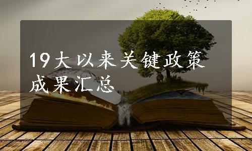 19大以来关键政策成果汇总