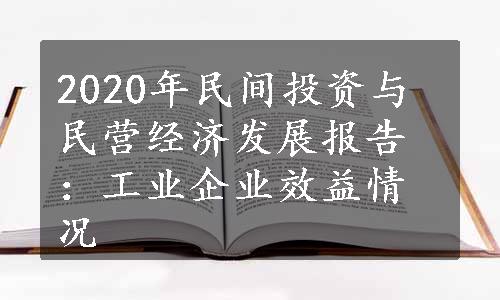 2020年民间投资与民营经济发展报告：工业企业效益情况