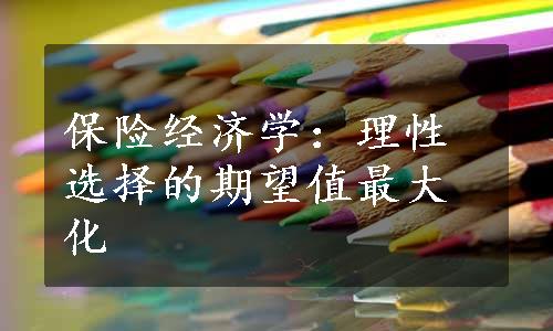 保险经济学：理性选择的期望值最大化