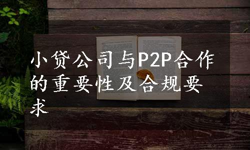 小贷公司与P2P合作的重要性及合规要求