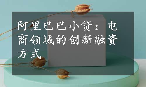 阿里巴巴小贷：电商领域的创新融资方式