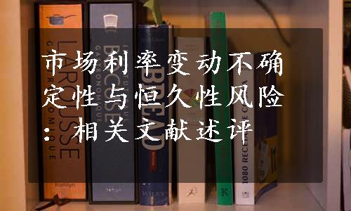 市场利率变动不确定性与恒久性风险：相关文献述评