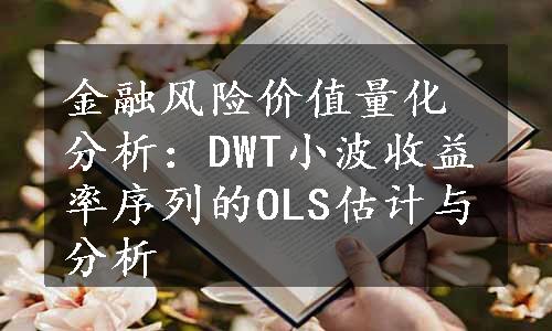 金融风险价值量化分析：DWT小波收益率序列的OLS估计与分析