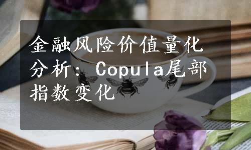 金融风险价值量化分析: Copula尾部指数变化