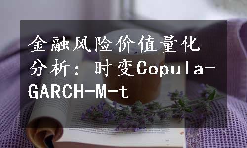 金融风险价值量化分析：时变Copula-GARCH-M-t